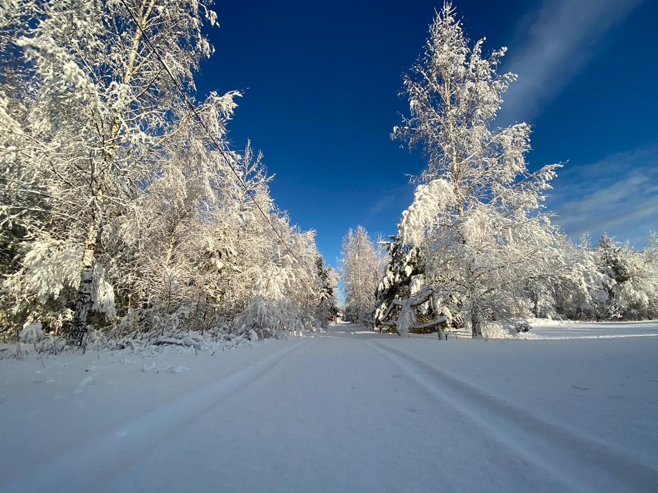 ТСН Шелухово (СНТ)